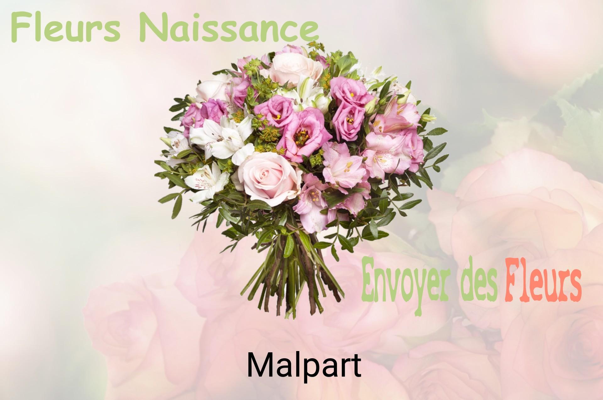 Bouquet de fleurs de naissance livré à Malpart